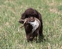 20160426-wcxl-0043