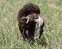 20160426-wcxl-0044