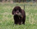 20160426-wcxl-0096
