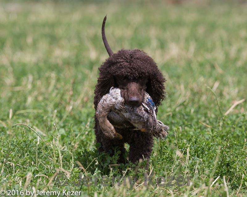 20160426-wcxl-0053.jpg
