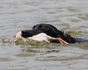 20160426-wcxw-0051