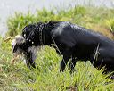 20160426-wcxw-0057