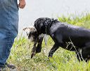 20160426-wcxw-0059