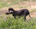 20160426-wcxw-0133