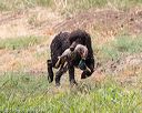 20160426-wcxw-0135