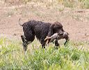 20160426-wcxw-0139