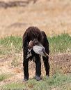 20160426-wcxw-0169