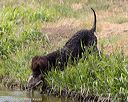 20160426-wcxw-0248