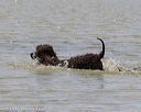 20160426-wcxw-0284