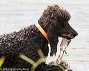 20160426-wcxw-0302