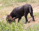 20160426-wcxw-0325
