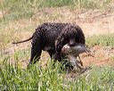 20160426-wcxw-0328