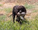 20160426-wcxw-0333