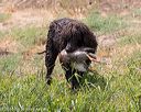 20160426-wcxw-0334