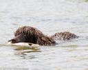 20160426-wcxw-0352