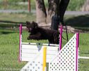 20160427-ag-0002