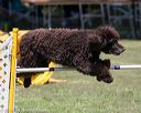 20160427-ag-0602