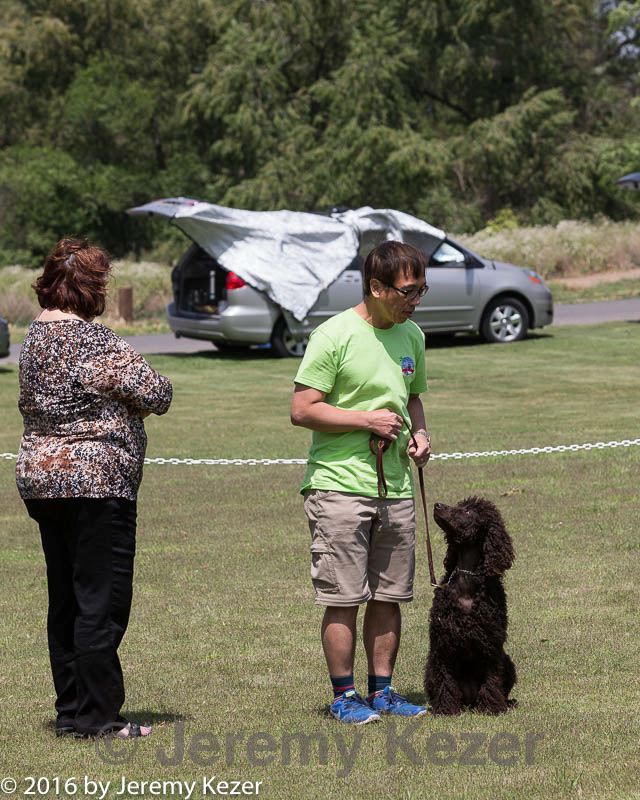 20160427-ob-0089.jpg