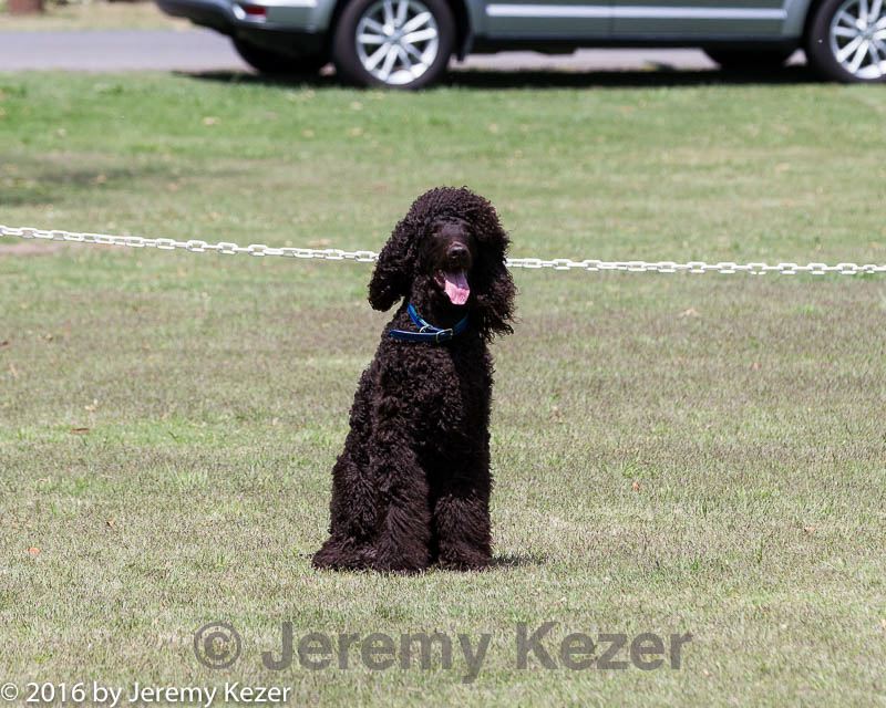 20160427-ob-0123.jpg