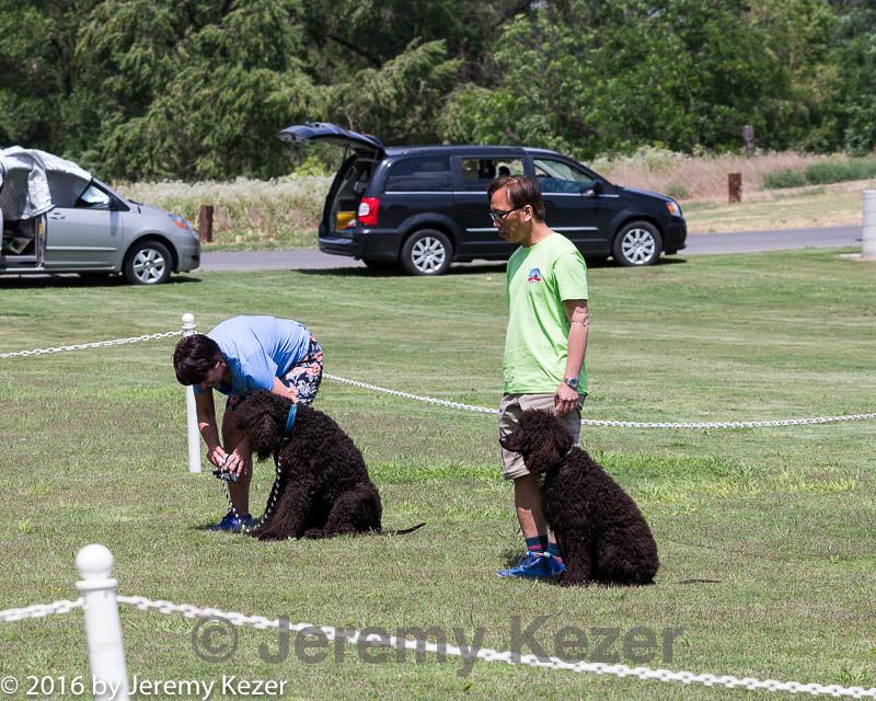 20160427-ob-0125.jpg