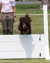 20160427-ob-0032
