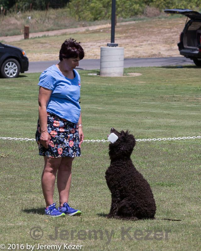 20160427-ob-0073.jpg