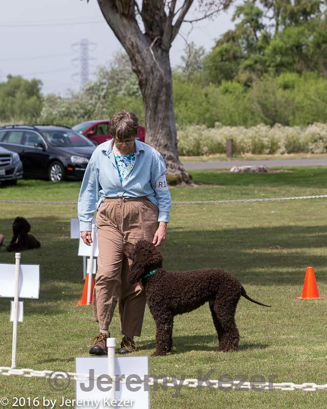 20160427-ra-0001.jpg