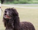20160428-sw-0404