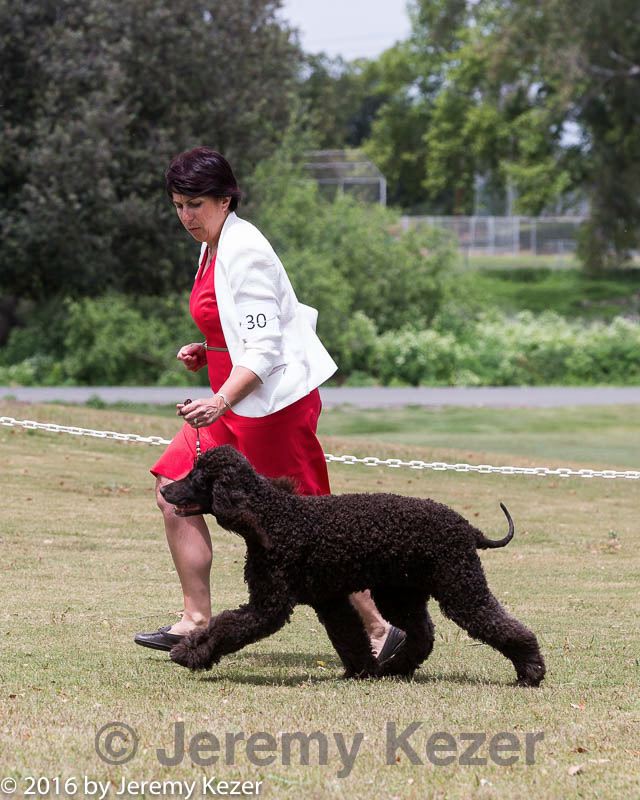 20160428-sw-0387.jpg