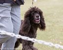 20160428-sw-0490
