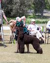 20160429-co-0546
