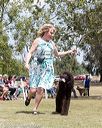 20160429-co-1101