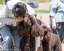 20160429-co-1155