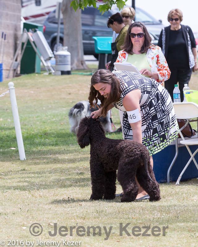 20160429-co-0897.jpg