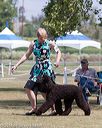 20160429-co-0266