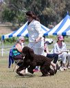 20160429-co-0286