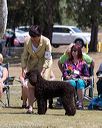 20160429-co-0300