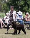 20160429-co-0532