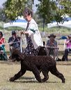 20160429-co-0543