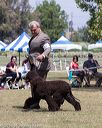 20160429-co-0361