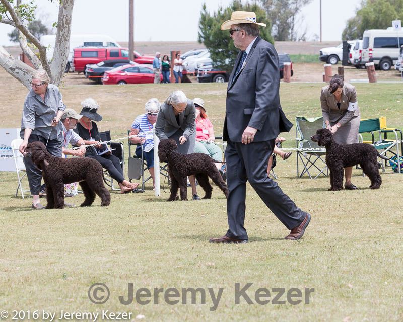 20160429-co-1252.jpg