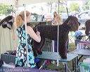 20160429-c-0004