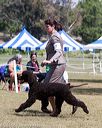 20160429-co-0102