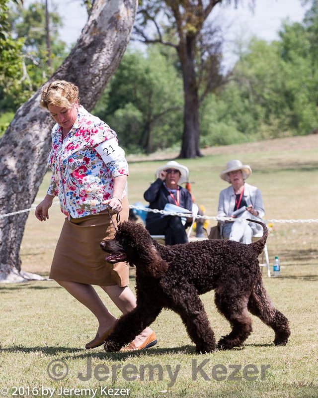 20160429-co-0167.jpg