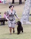 20160429-co-1302