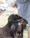 20160429-co-0424