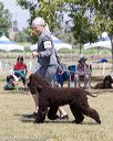 20160429-co-0432