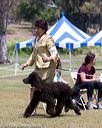 20160429-co-0473