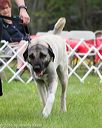 20160521-kdca-0103