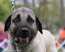 20160521-kdca-0108